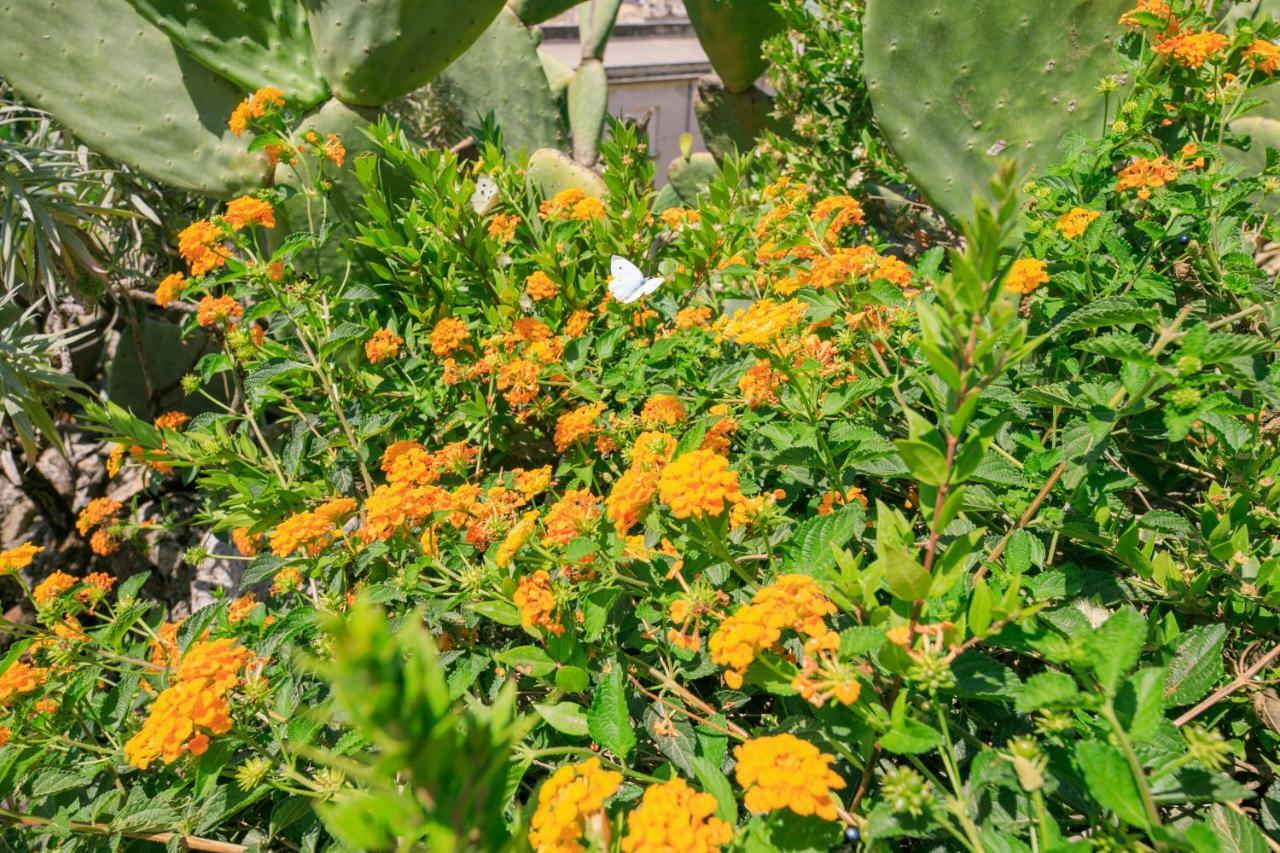 Trigona Garden Suite ノート エクステリア 写真